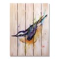 Ricki&Aposs Rugs 28 x 36 in. Crousers Nuthatch Inside & Outside Cedar Wall Art RI894953